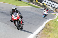 Oulton-Park-21st-March-2020;PJ-Motorsport-Photography-2020;anglesey;brands-hatch;cadwell-park;croft;donington-park;enduro-digital-images;event-digital-images;eventdigitalimages;mallory;no-limits;oulton-park;peter-wileman-photography;racing-digital-images;silverstone;snetterton;trackday-digital-images;trackday-photos;vmcc-banbury-run;welsh-2-day-enduro